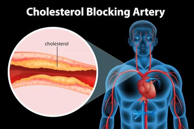 Роль правильного питания в борьбе с холестериновыми отложениями