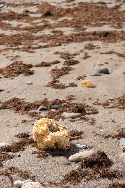Причины образования песка в почках