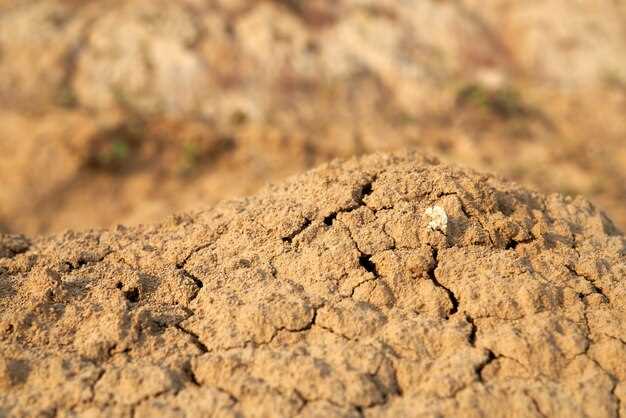 Факторы, способствующие образованию песка в почках