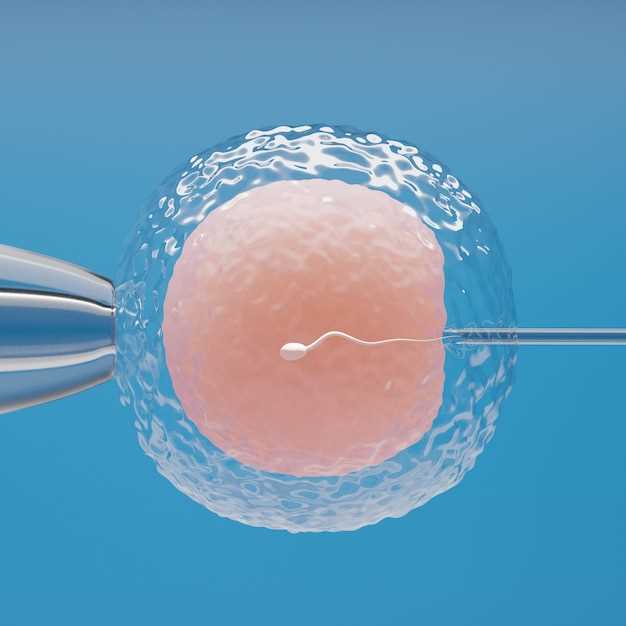 Процесс обновления яйцеклетки у женщин